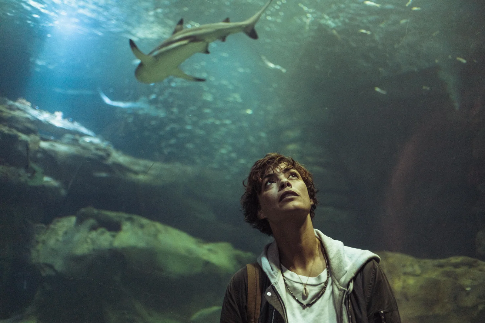 索菲娅站在水族箱下仰望游过的鲨鱼